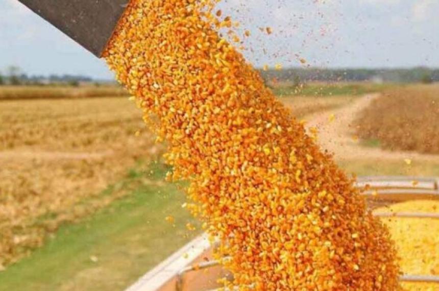 Las exportaciones pampeanas pasaron del récord a un retroceso