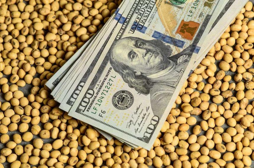 Aunque el aumento registrado en el primer semestre de 2024 es notable la capacidad ociosa de las plantas procesadoras sigue siendo un factor preocupante