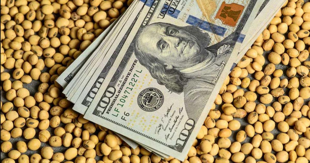 Aunque el aumento registrado en el primer semestre de 2024 es notable la capacidad ociosa de las plantas procesadoras sigue siendo un factor preocupante