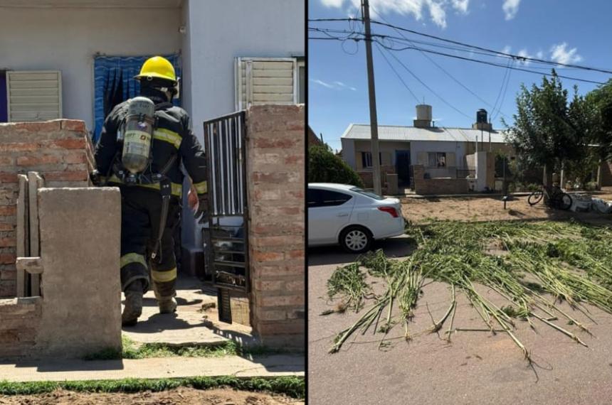 Ocurrió en una vivienda del Boulevard Brown en Toay