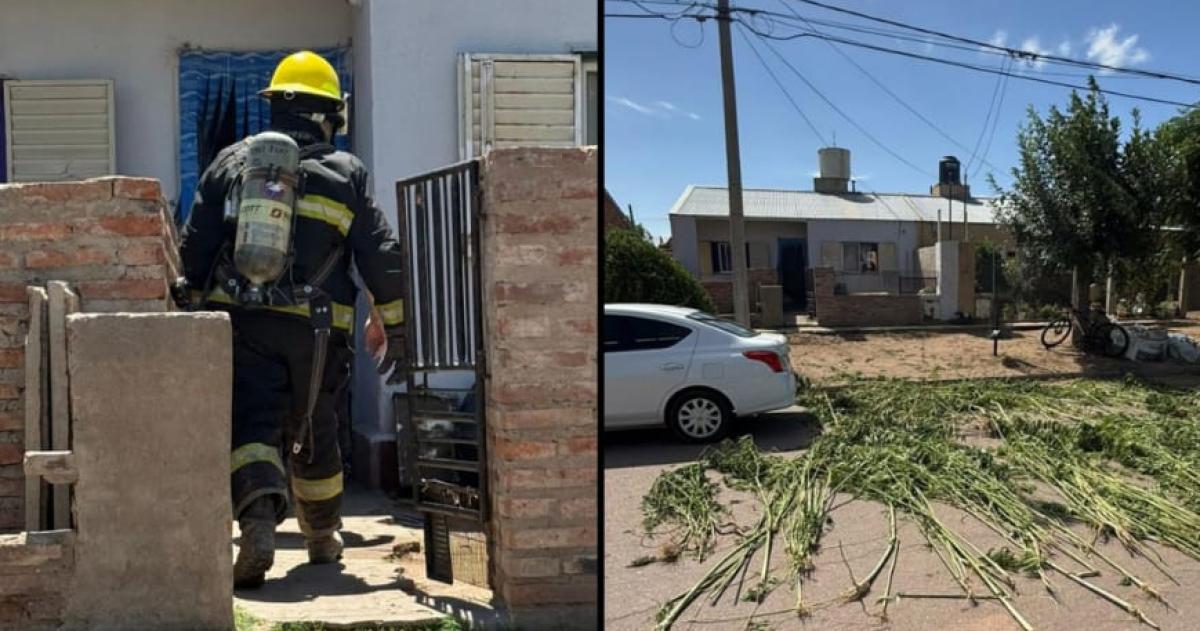 Ocurrió en una vivienda del Boulevard Brown en Toay
