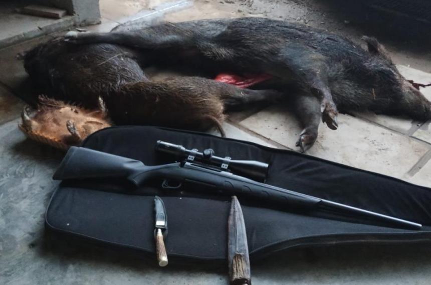 Imponen multas de caza de hasta 33 millones de pesos e inhabilitaciones