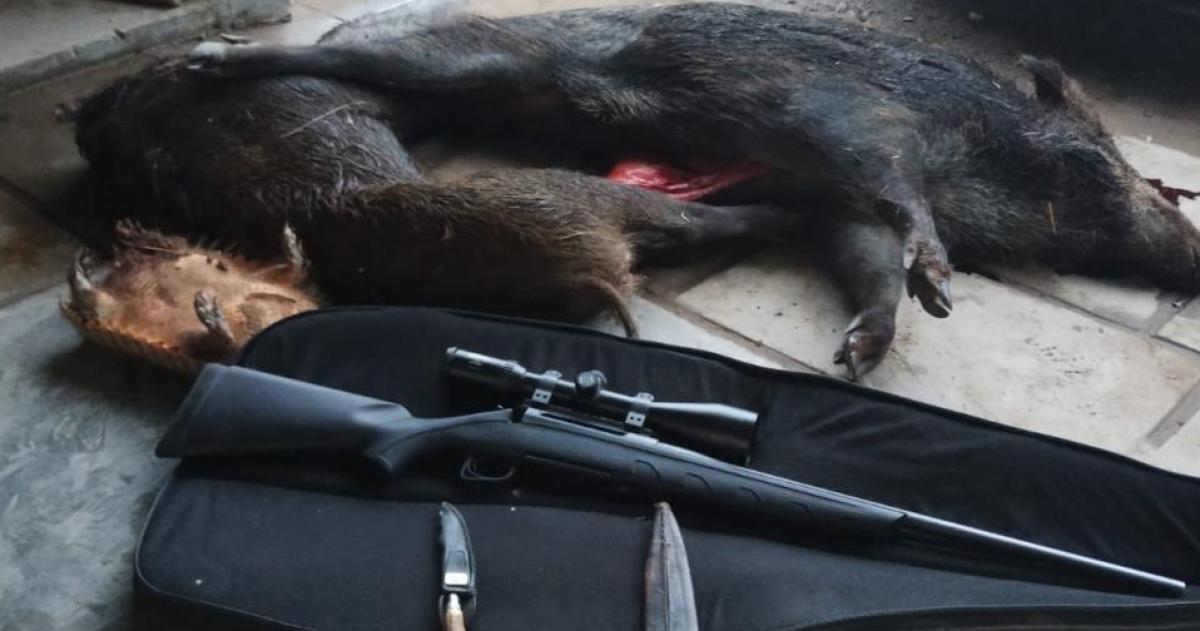 Imponen multas de caza de hasta 33 millones de pesos e inhabilitaciones