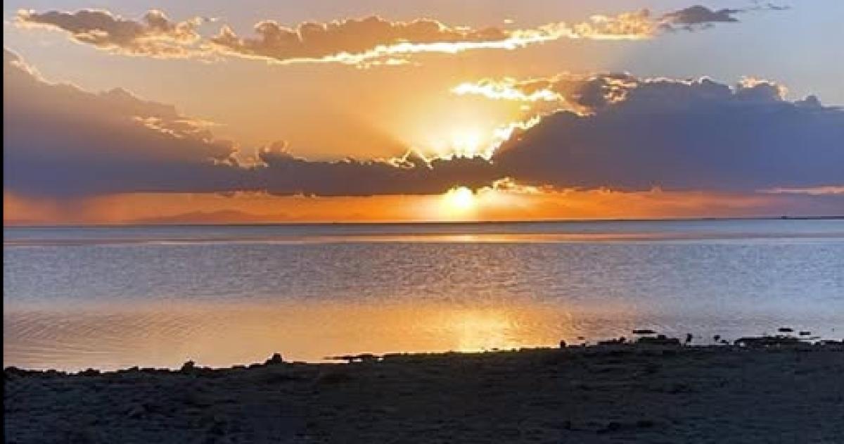 La costa barrosa aparece en los diques del río Atuel