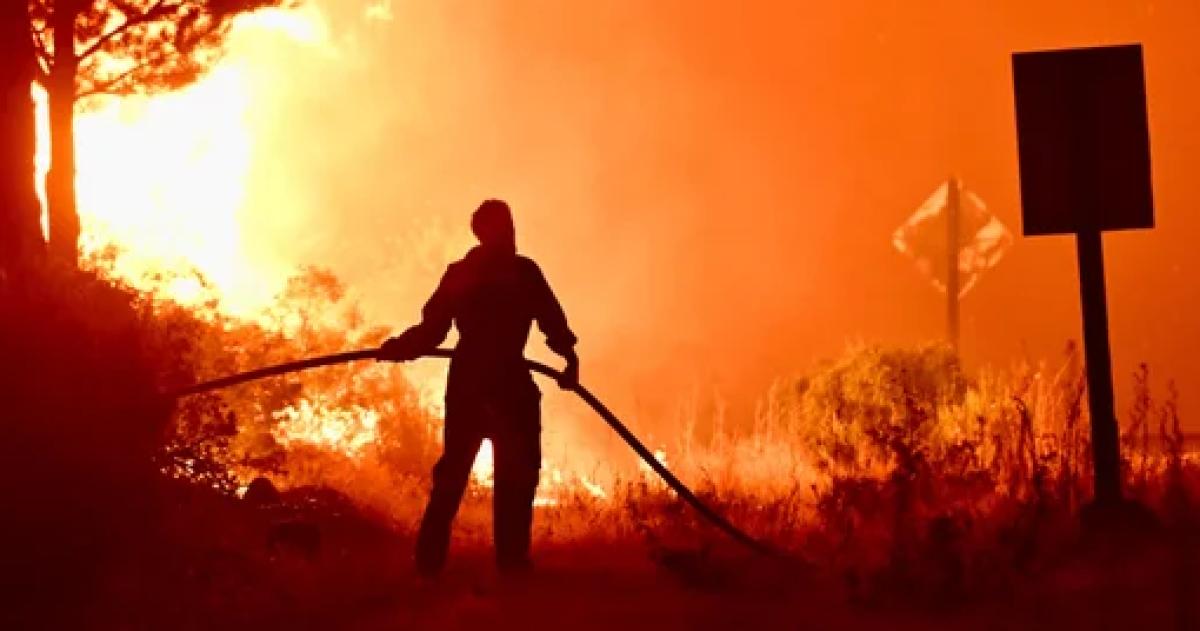 Fuego en los Alerces- las autoridades detallaron que es producto de los fuertes vientos