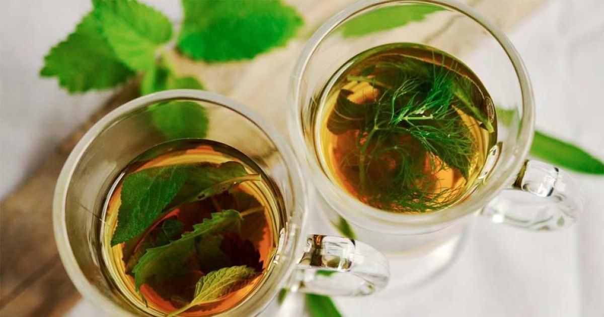 Dormir mejor sin medicacioacuten- las infusiones que maacutes se usan para relajar antes de acostarse