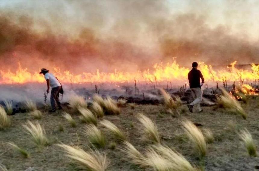 Cuando el agua recompone el sistema- desafiacuteos tras la sequiacutea el fuego  y la lluvia 