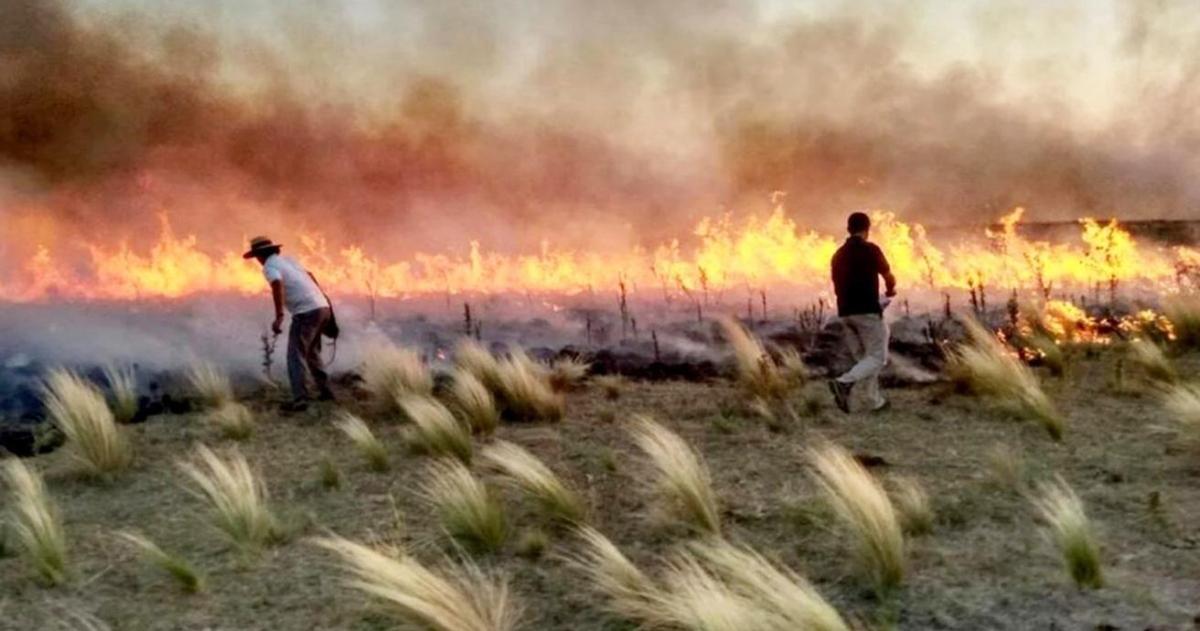 Cuando el agua recompone el sistema- desafiacuteos tras la sequiacutea el fuego  y la lluvia 