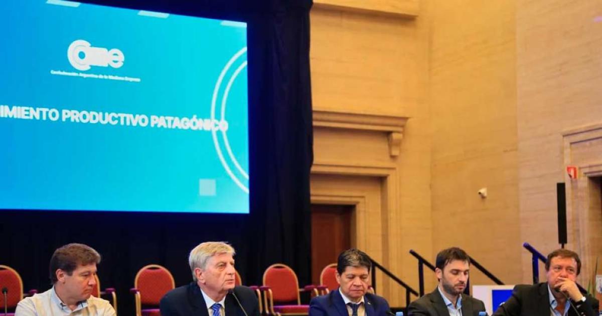 Gobernadores patagoacutenicos reclamaron al Congreso el tratamiento urgente de la ley de Emergencia Iacutegnea