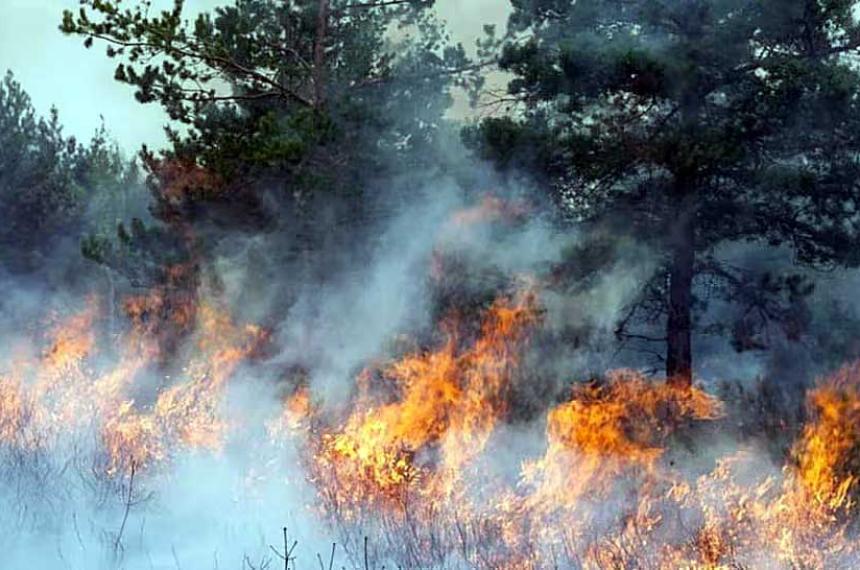 La zona afectada del Parque Nacional Los Alerces