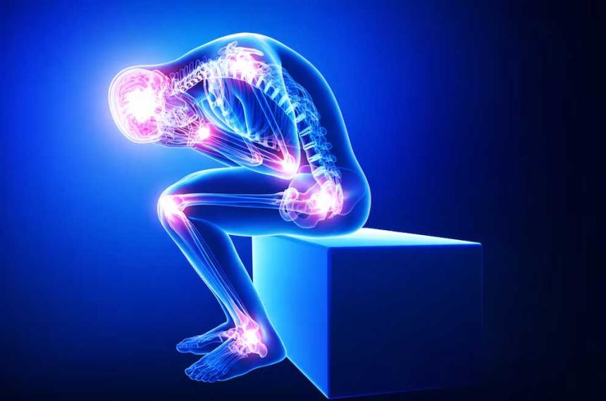 La Universidad de Colorado en Boulder identifica una zona cerebral clave que convierte el dolor temporal en dolor crónico