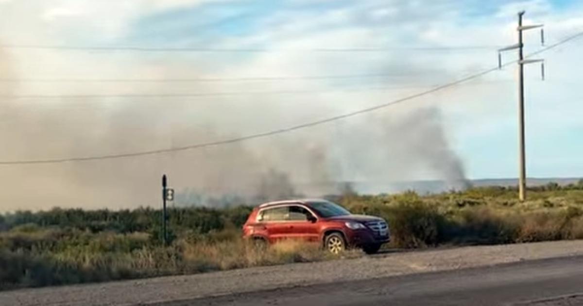 El incendio se produjo en el kilómetro 125 de la Ruta Nacional 151