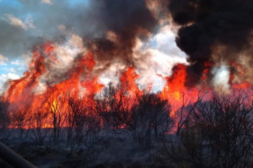 El Gobierno declaroacute la emergencia iacutegnea en cuatro provincias patagoacutenicas- La Pampa entre ellas