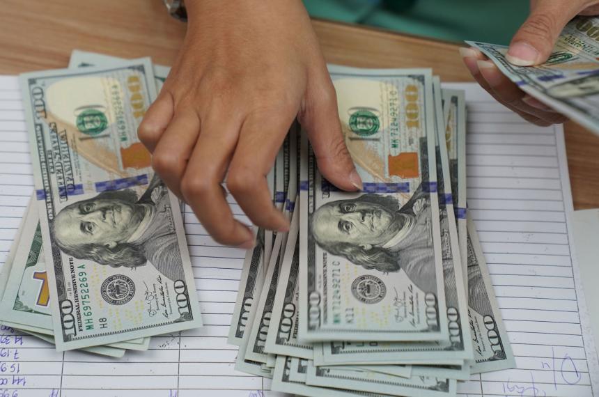 En 2025 ahorristas particulares compraron la mayor cantidad de doacutelares de los uacuteltimos 22 antildeos