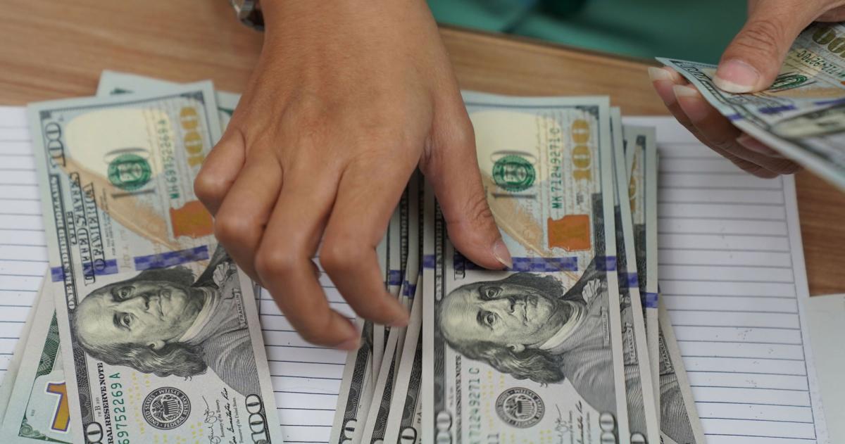 En 2025 ahorristas particulares compraron la mayor cantidad de doacutelares de los uacuteltimos 22 antildeos