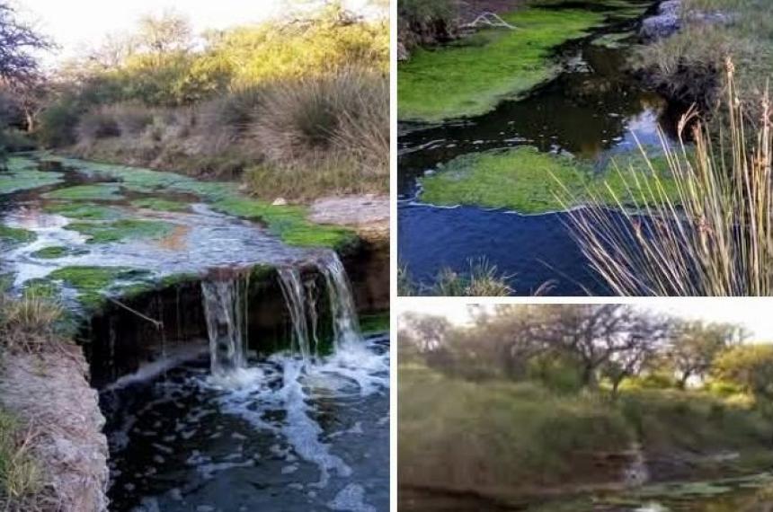 Las zonas que integran el corredor tiene valor biológico