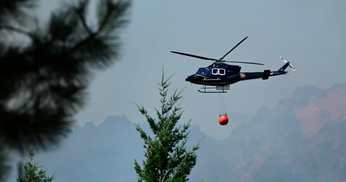 La medida fue dispuesta a través del Decreto de Necesidad y Urgencia 802026