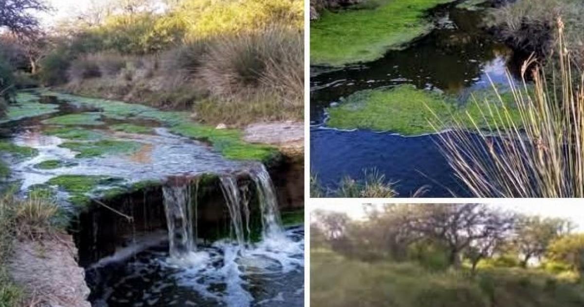 Las zonas que integran el corredor tiene valor biológico