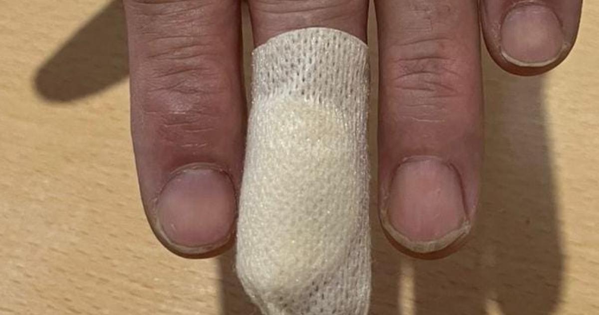 El perro no es mío se me agregó dijo el dueño de casa