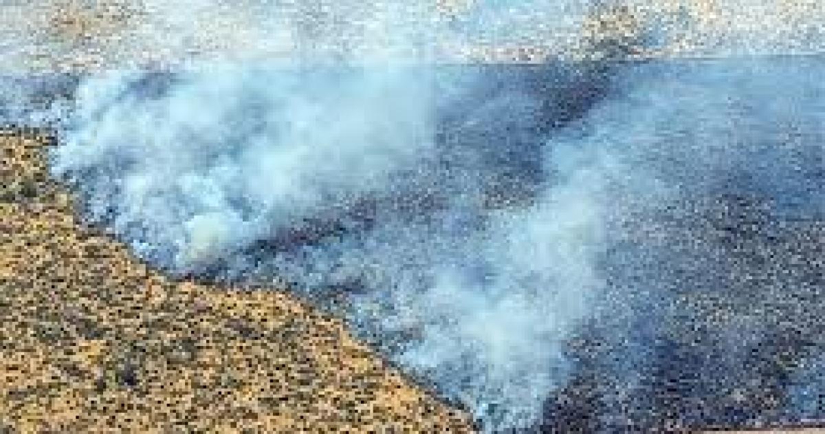 Hay dos nuevos focos en el oeste provincial