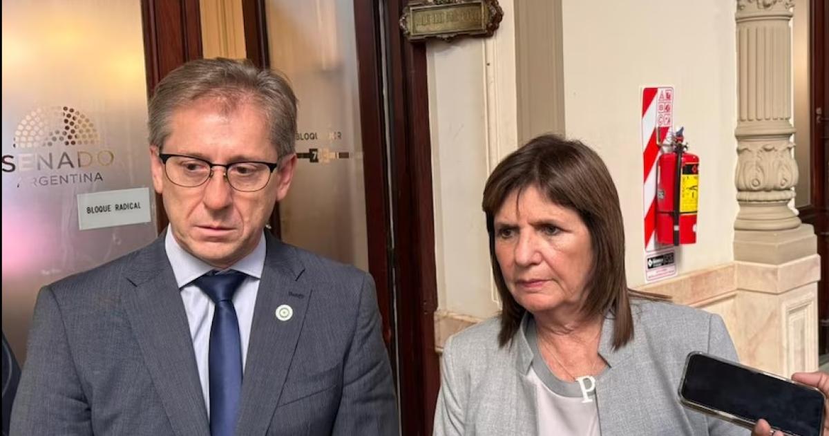 La jefa libertaria en el Senado Patricia Bullrich junto a su par del radicalismo Eduardo Vischi