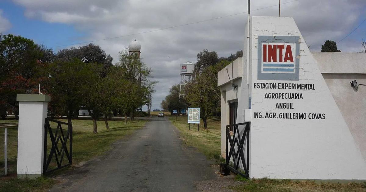 Preocupación en el sector por la pérdida de cuadros técnicos