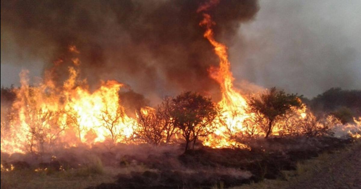 Los fuegos afectaron el oeste y el sur provincial