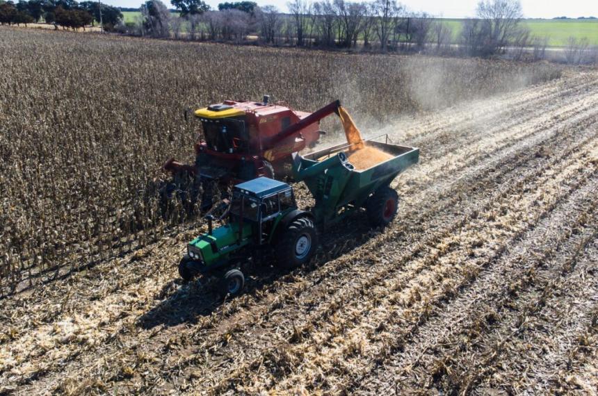 La Pampa evitoacute la recesioacuten en 2024 y consolidoacute una deacutecada de crecimiento