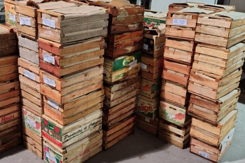 En total se donaron 704 kilos de duraznos y 656 kilos de pelones