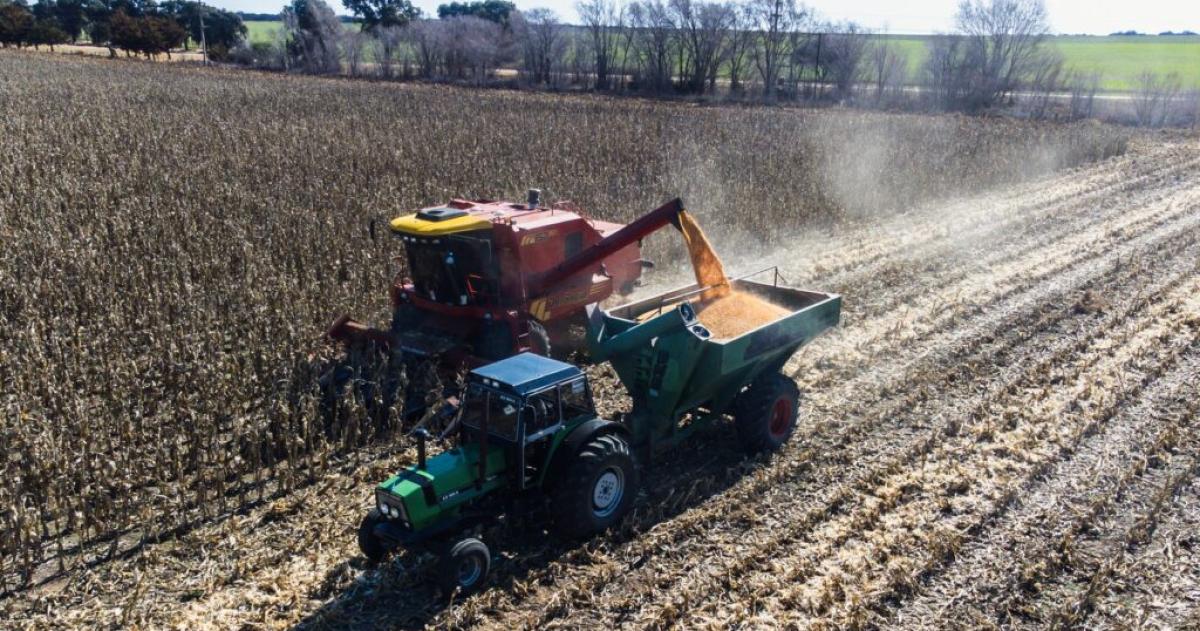 La Pampa evitoacute la recesioacuten en 2024 y consolidoacute una deacutecada de crecimiento