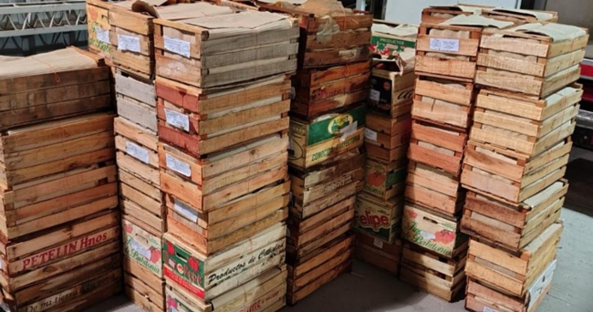 En total se donaron 704 kilos de duraznos y 656 kilos de pelones