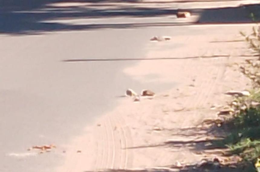  La Policía ya identificó a los presuntos agresores