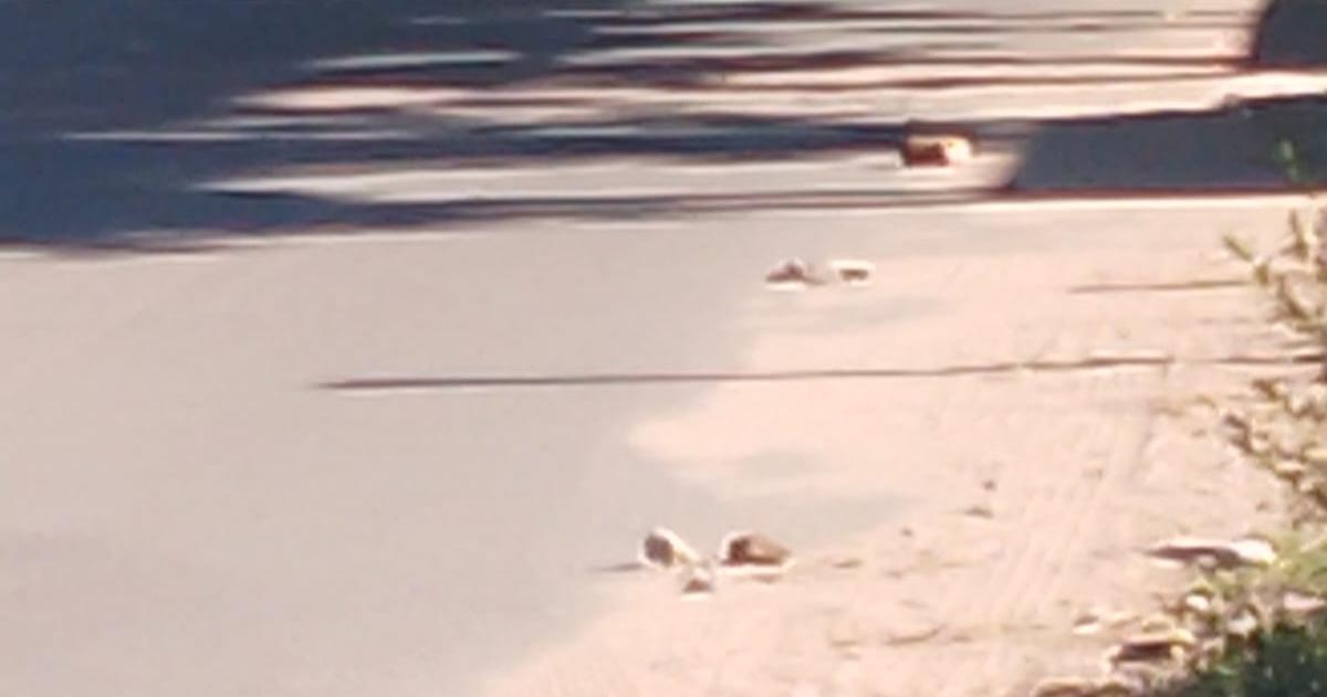  La Policía ya identificó a los presuntos agresores