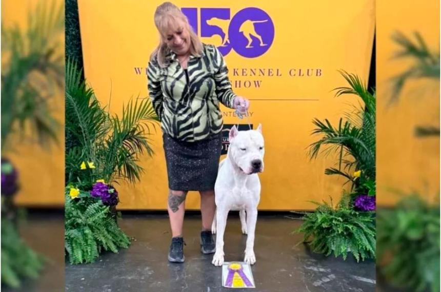 Tpky el dogo argentino que fue declarado el mejor de su raza