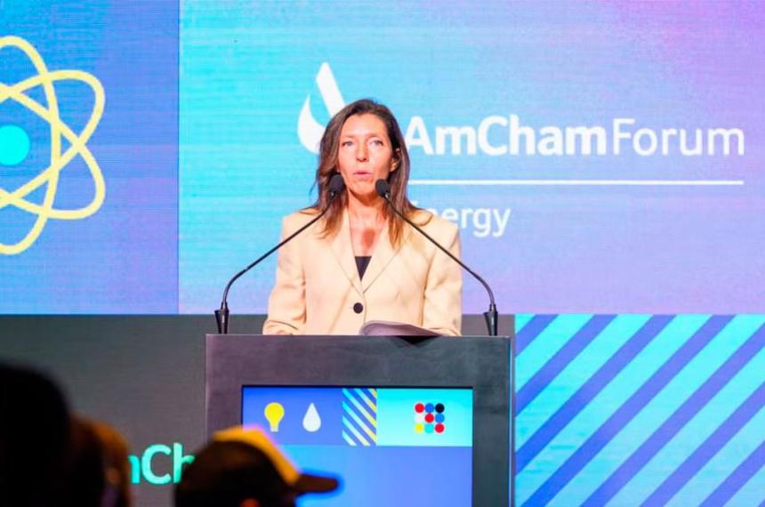 AmCham respaldoacute la media sancioacuten en el Senado- Modernizar no es quitar derechos