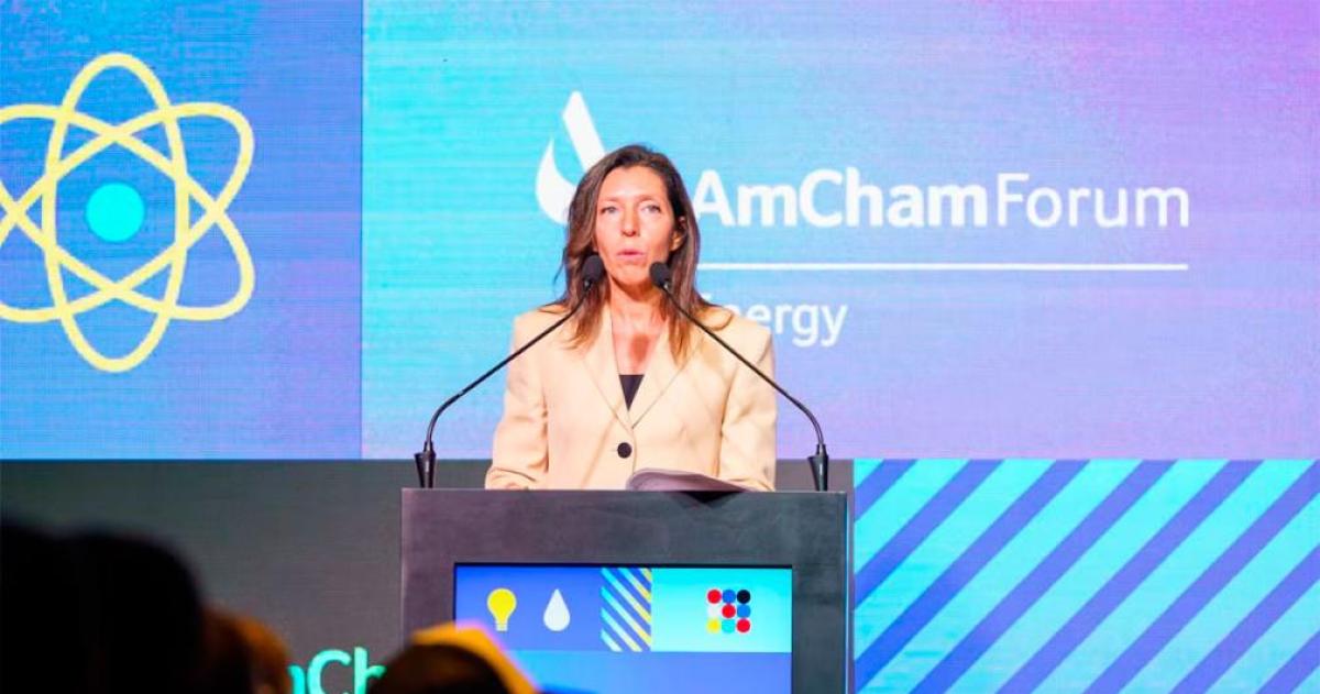 AmCham respaldoacute la media sancioacuten en el Senado- Modernizar no es quitar derechos