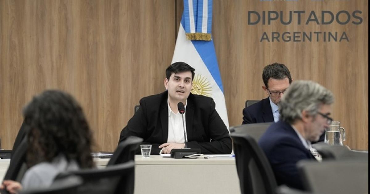 MArtín Romeo en una de las reuniones de la comisión investigadora del caso