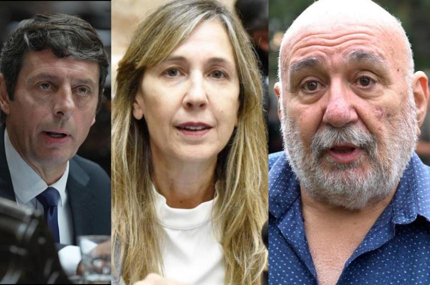 Rauschenberger Varinia Marín y Abelardo Ferr�n votaron a favor