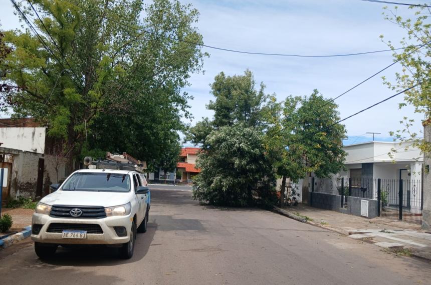El tr�nsito permacece cortado en Ayala entre Uruguay y Don Bosco