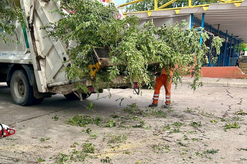La Municipalidad hizo limpiezas en distintos puntos de la ciudad