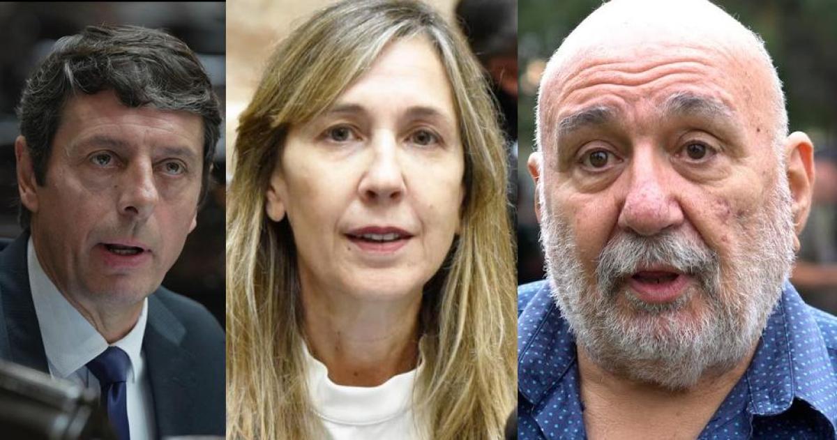 Rauschenberger Varinia Marín y Abelardo Ferr�n votaron a favor