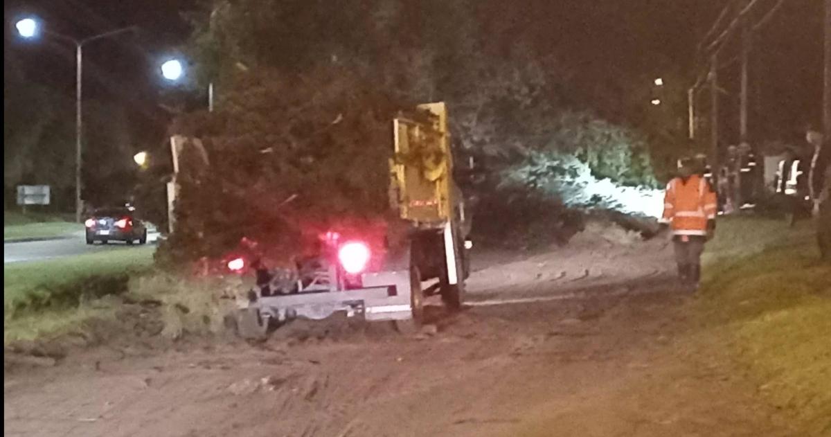 En la Avenida Perón personal municipal trabajó para retirar arboles caídos (Foto Pedro Vigne)