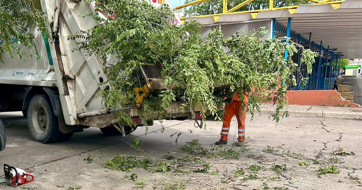 La Municipalidad hizo limpiezas en distintos puntos de la ciudad