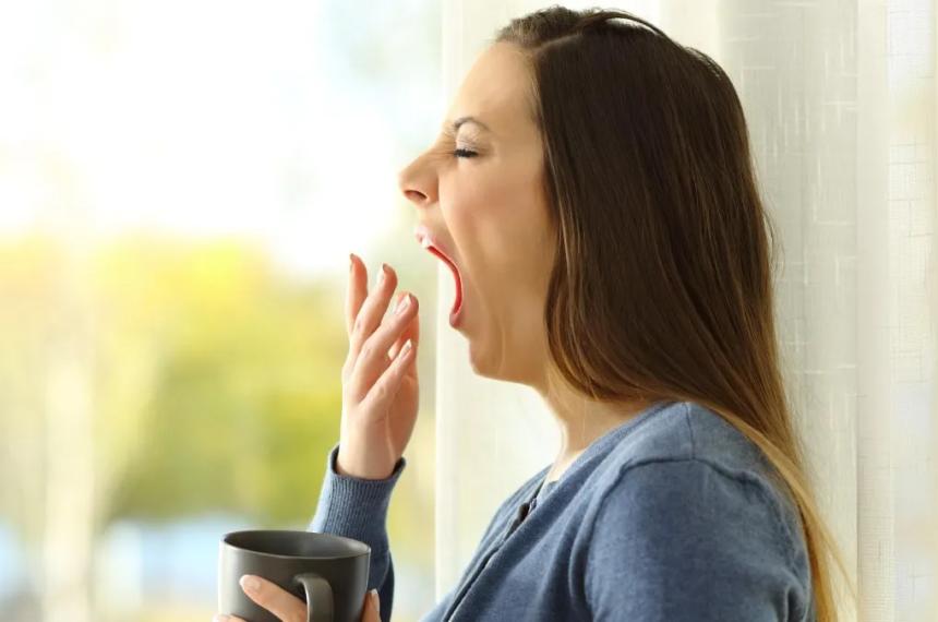 Una de las teorías sobre el bostezo sostiene que se trata de un mecanismo de activación ante el cansancio o el sueño