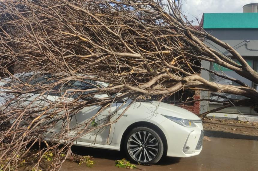 Suspenden la recoleccioacuten de residuos y priorizan el despeje de calles tras el temporal