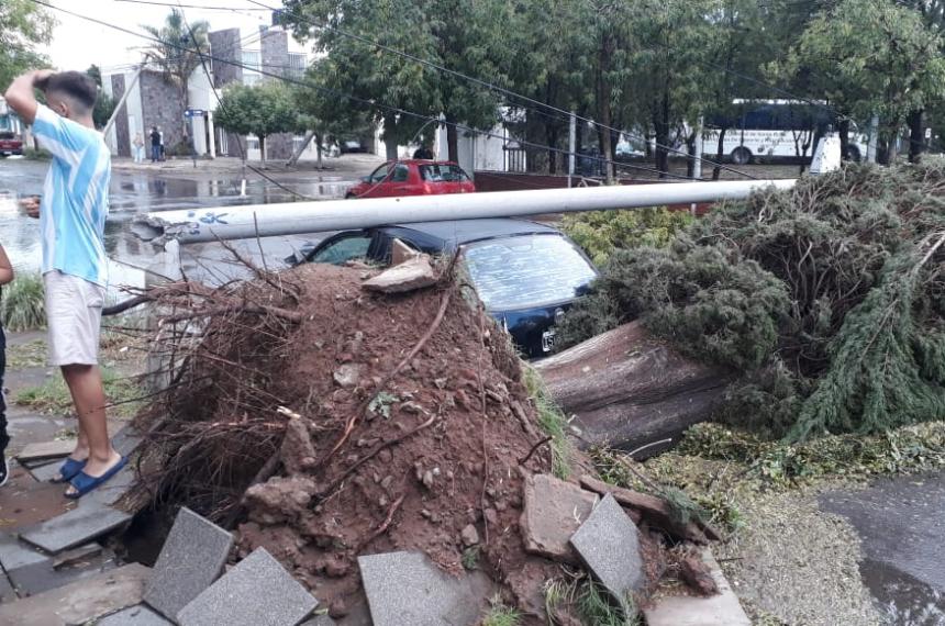 Violento temporal con vientos huracanados dejoacute un rastro de destruccioacuten en Santa Rosa