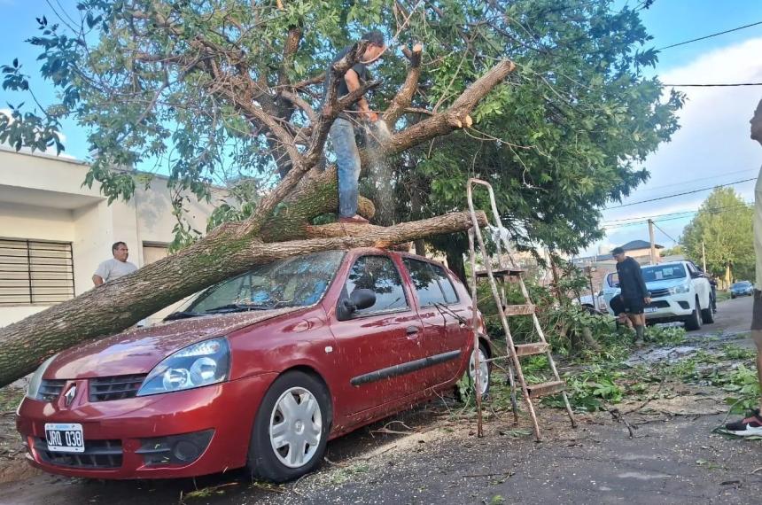  Hay un centenar de vehículos dañados por la caída de �rboles y mampostería