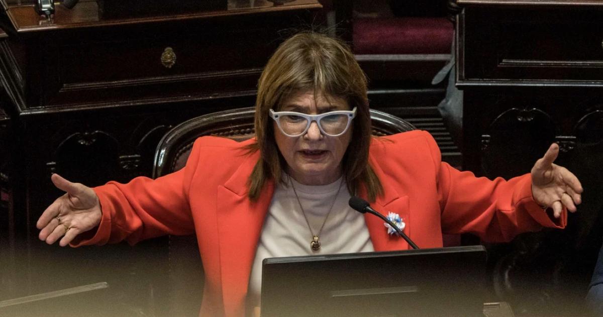 Patricia Bullrich en el Senado