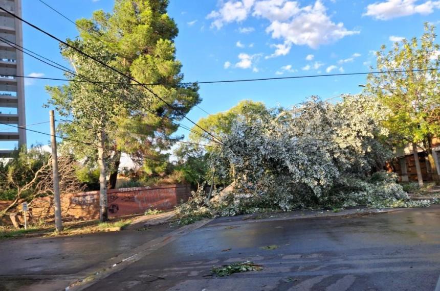 Imaacutegenes de la semana