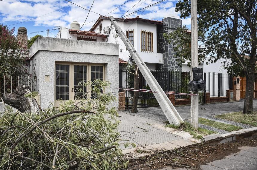 El escenario de palmeras destruídas que dejó el tornado es desolador